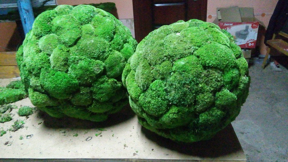 Озеленение офиса