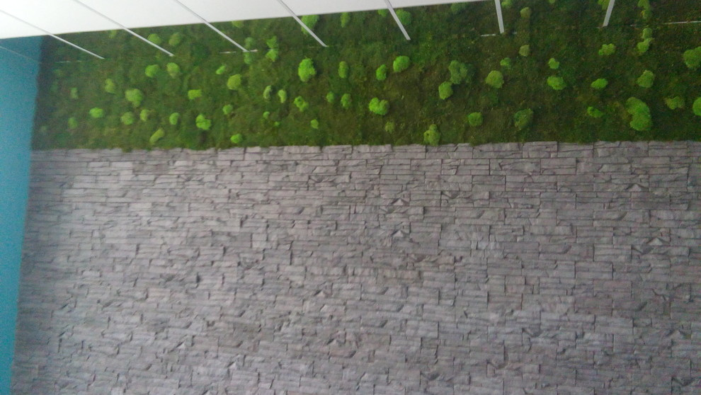 Озеленение офиса