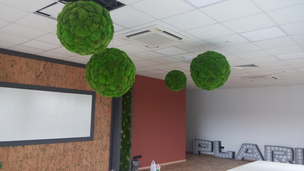 Обложка проекта: Озеленение офиса