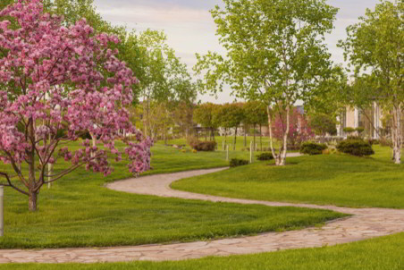 Озеленение поселка на Новой Риге