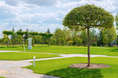 Озеленение поселка на Новой Риге