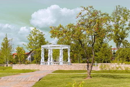 Озеленение поселка на Новой Риге