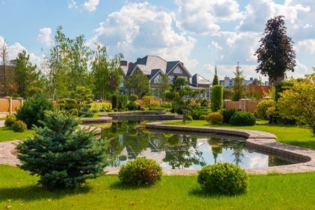 Озеленение поселка на Новой Риге