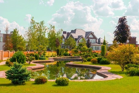 Обложка проекта: Озеленение поселка на Новой Риге