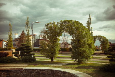 Обложка проекта: Малые архитектурные формы