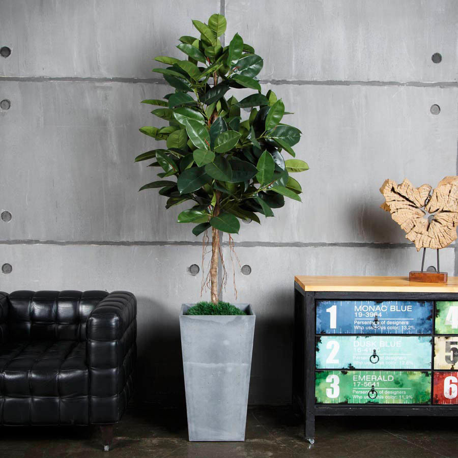 Интерьерные кашпо