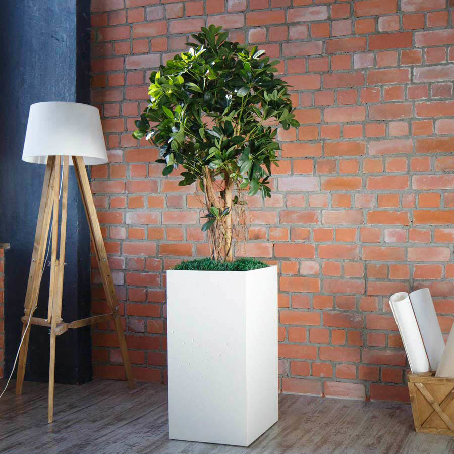 Интерьерные кашпо