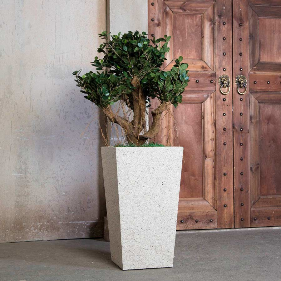 Интерьерные кашпо