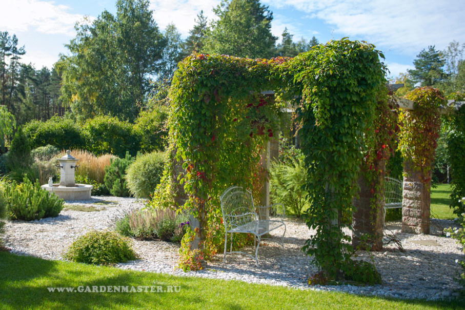 Обложка проекта: Репинская усадьба