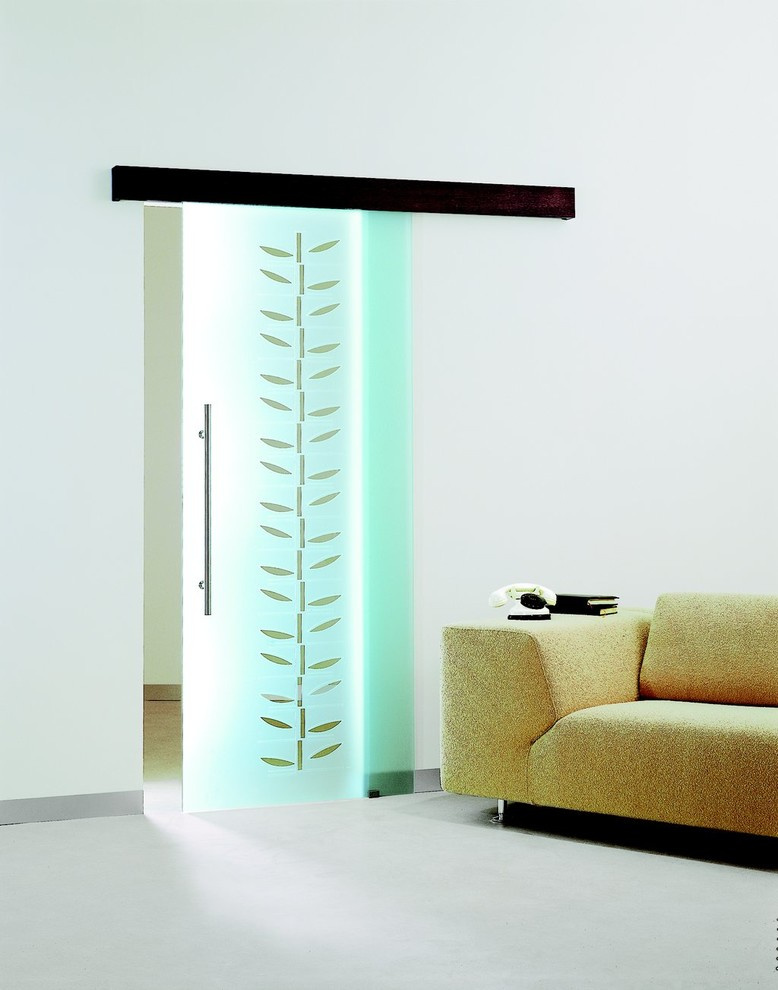 Стеклянные раздвижные двери