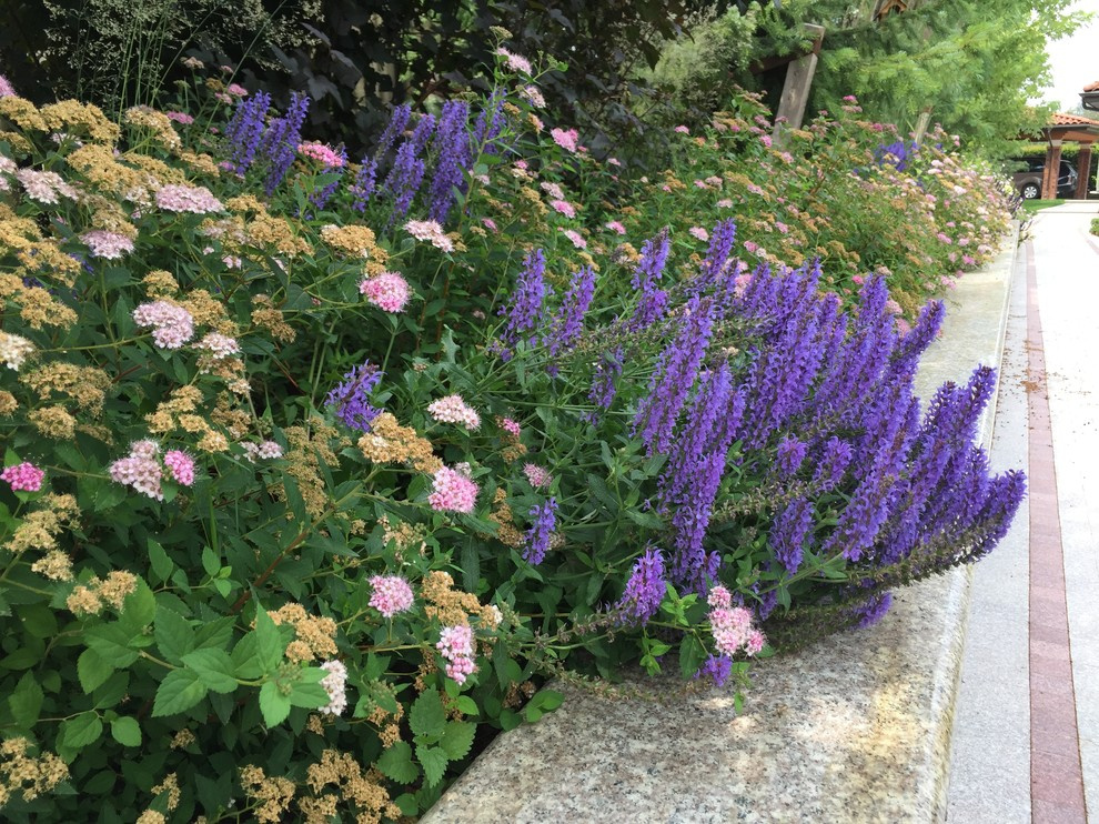 Миллениум2014