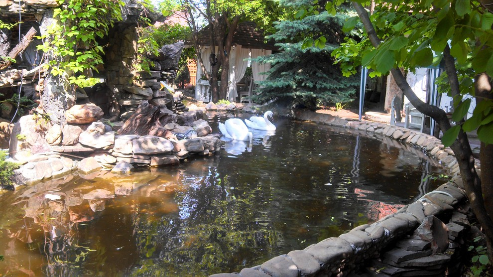 Водоем в саду