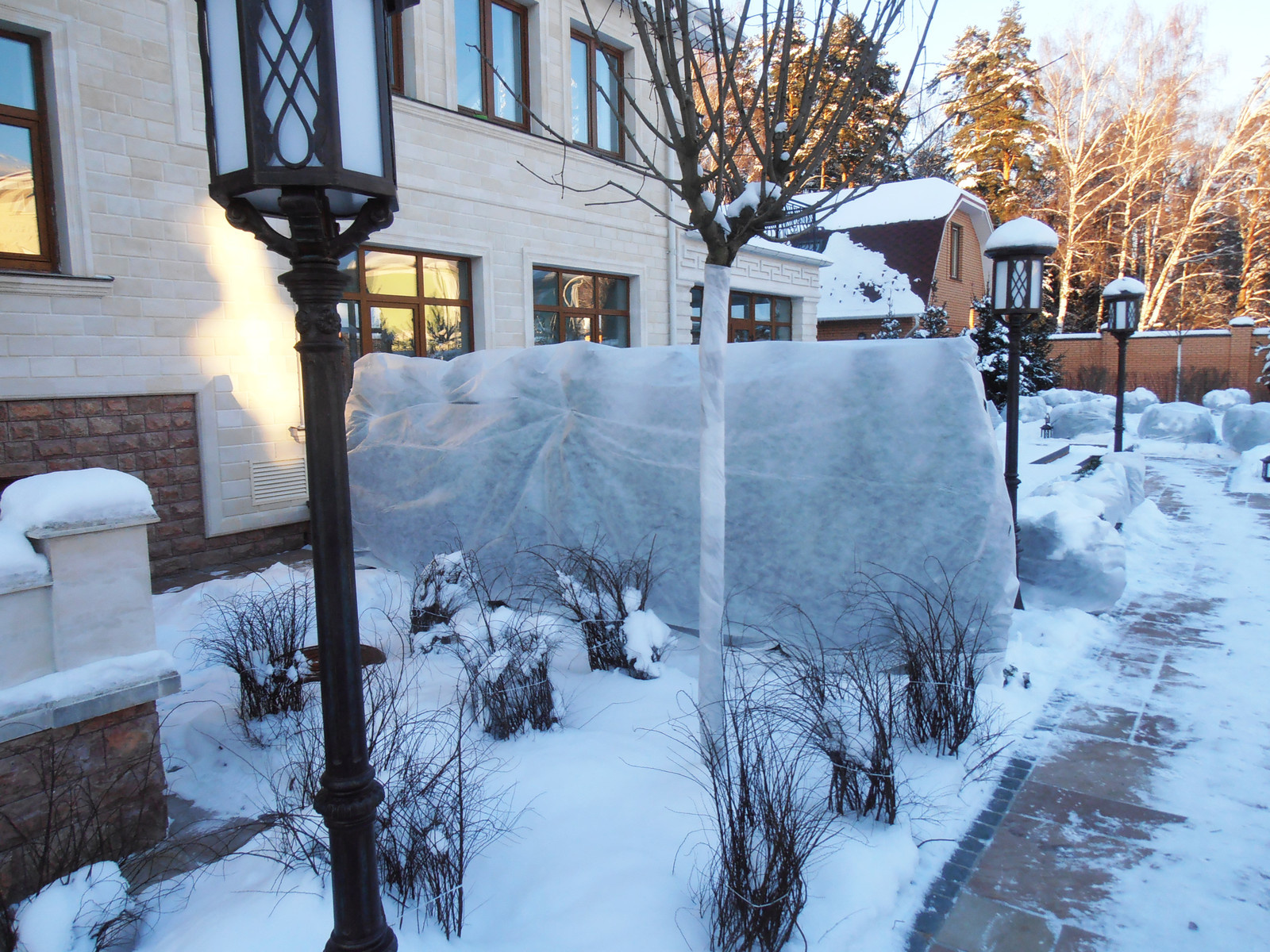 Зимний ландшафт