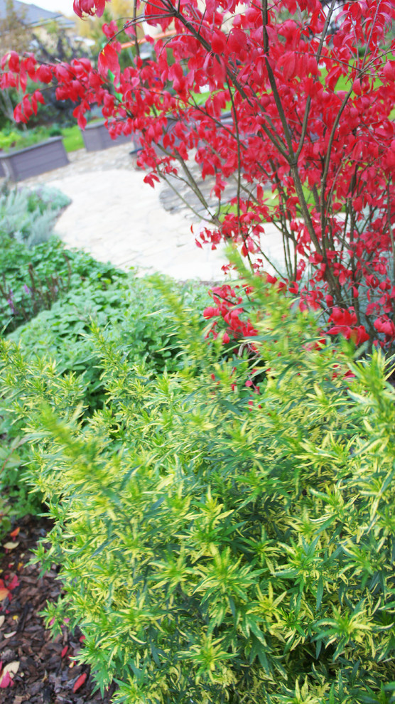 Прохорово 2016