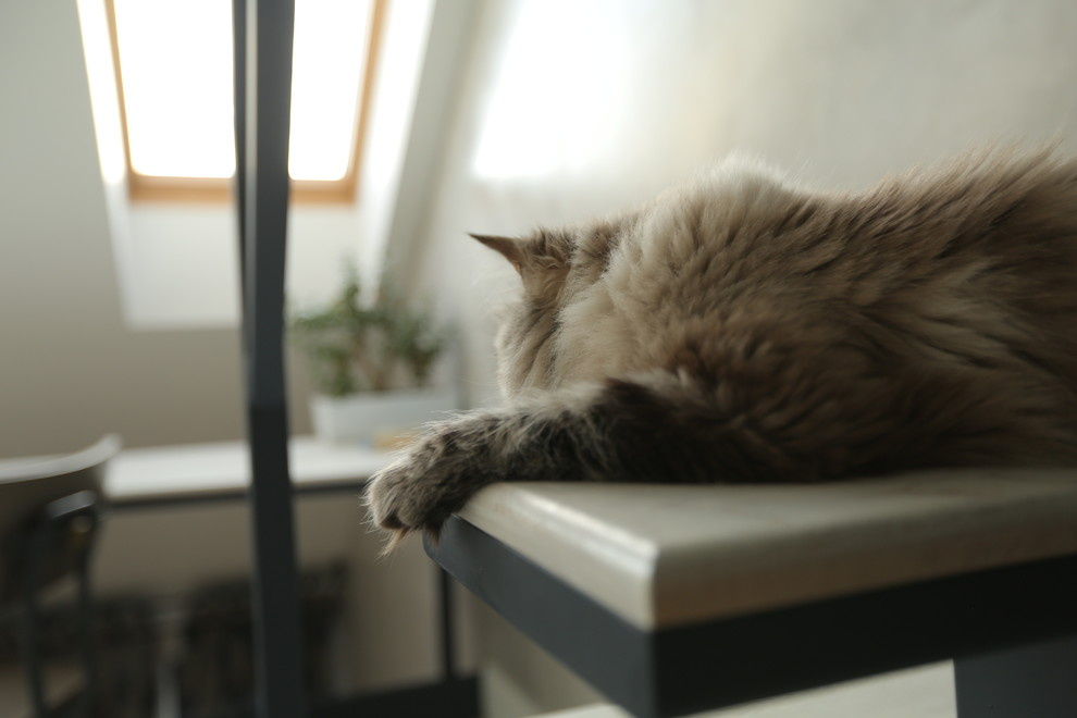loft with Russian patterns for young man