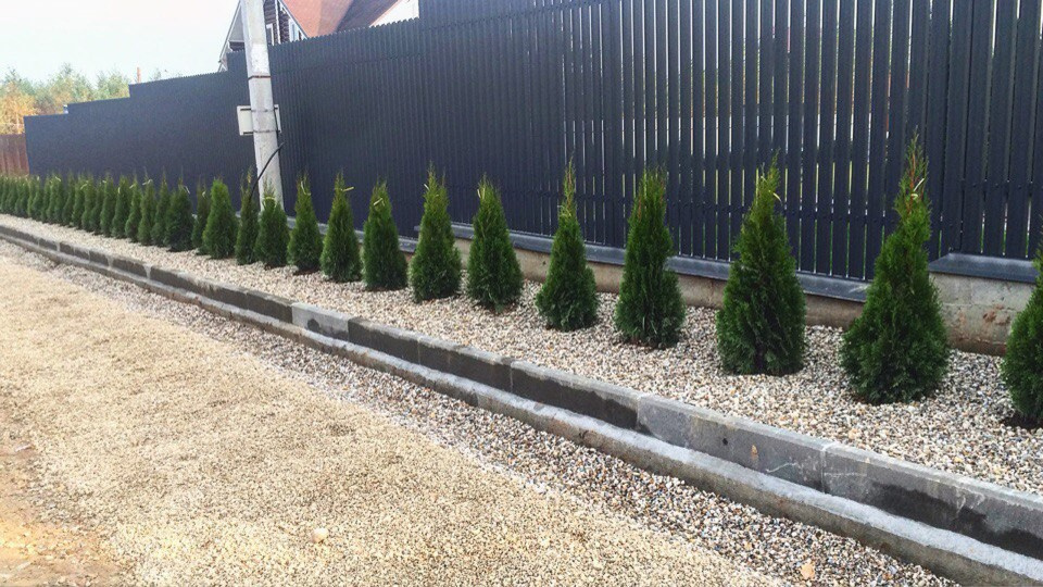 Сад "в процессе..."