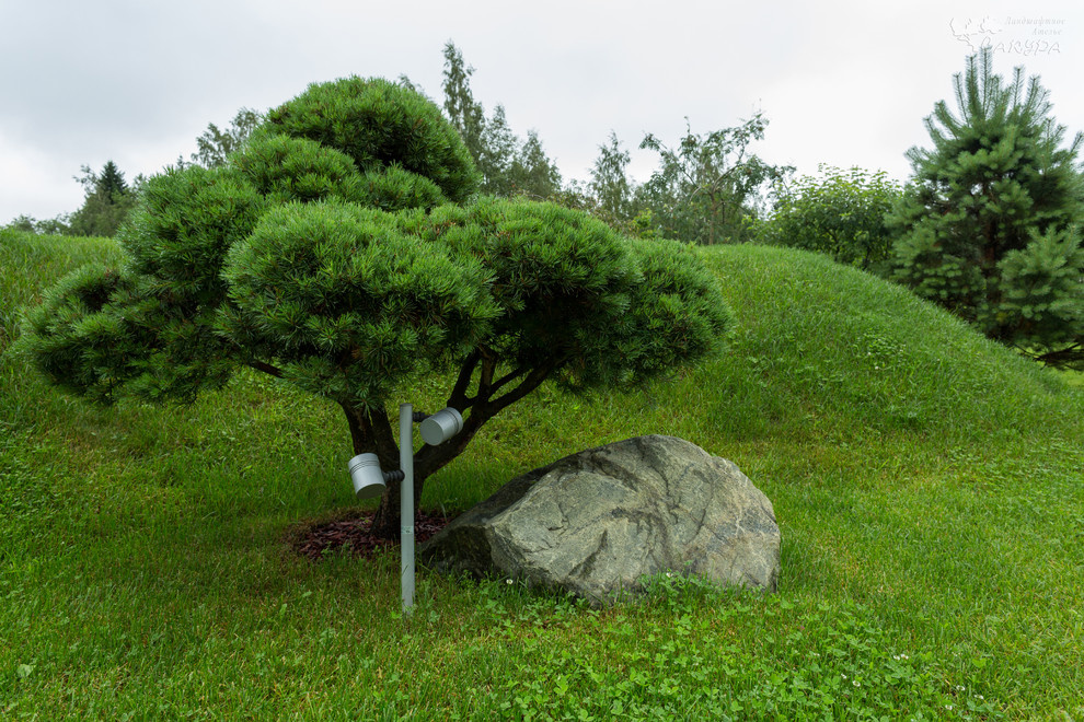 Проект озеленения и благоустройства п. Медовое