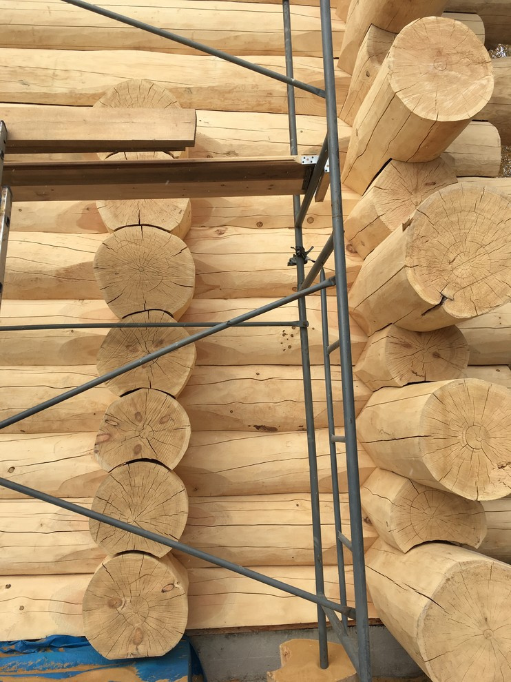 Обложка проекта: "Пилот"