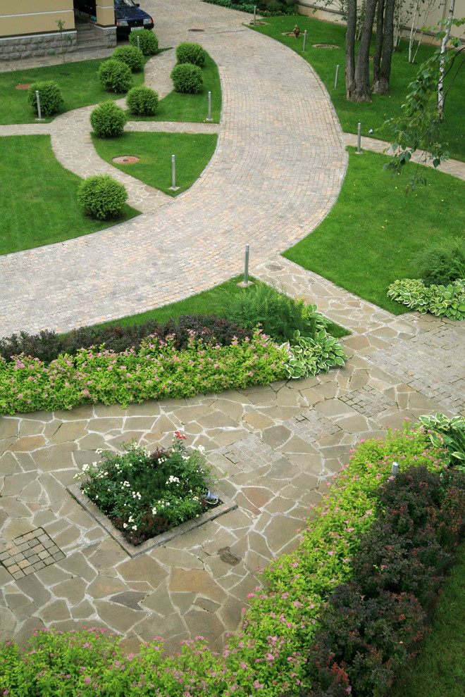 В теневом лесу