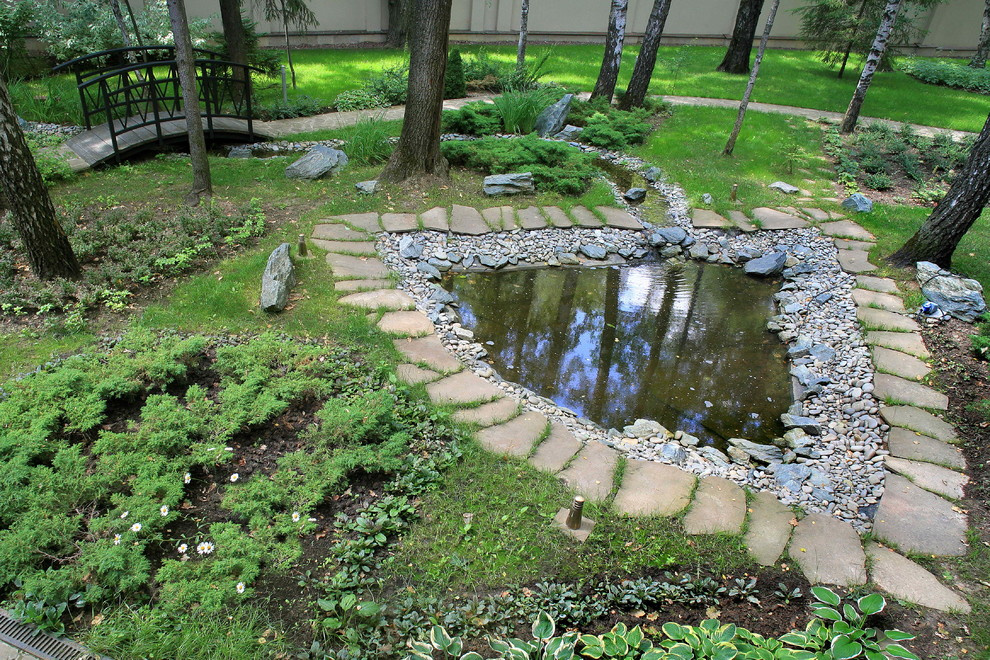 В теневом лесу