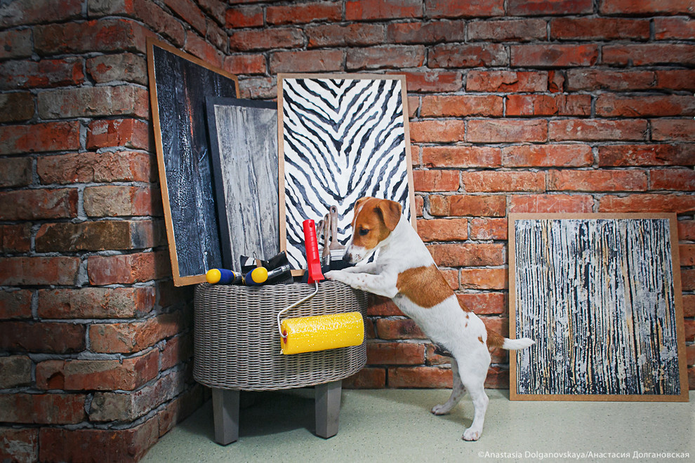 Животные и пространство