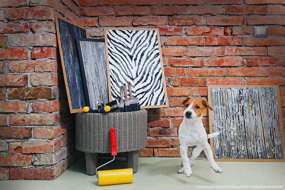 Животные и пространство