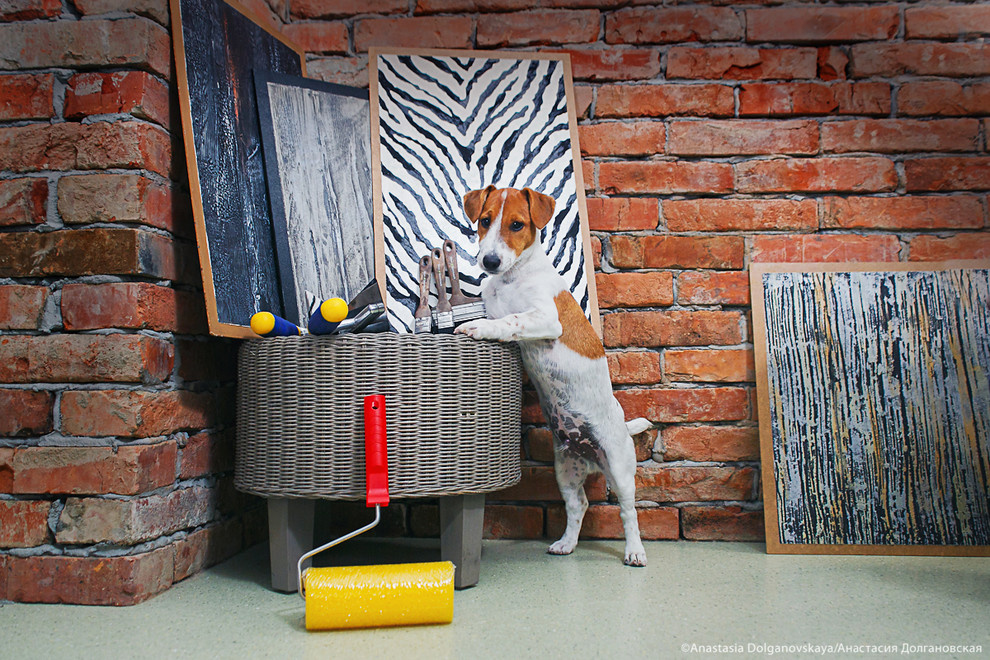 Животные и пространство