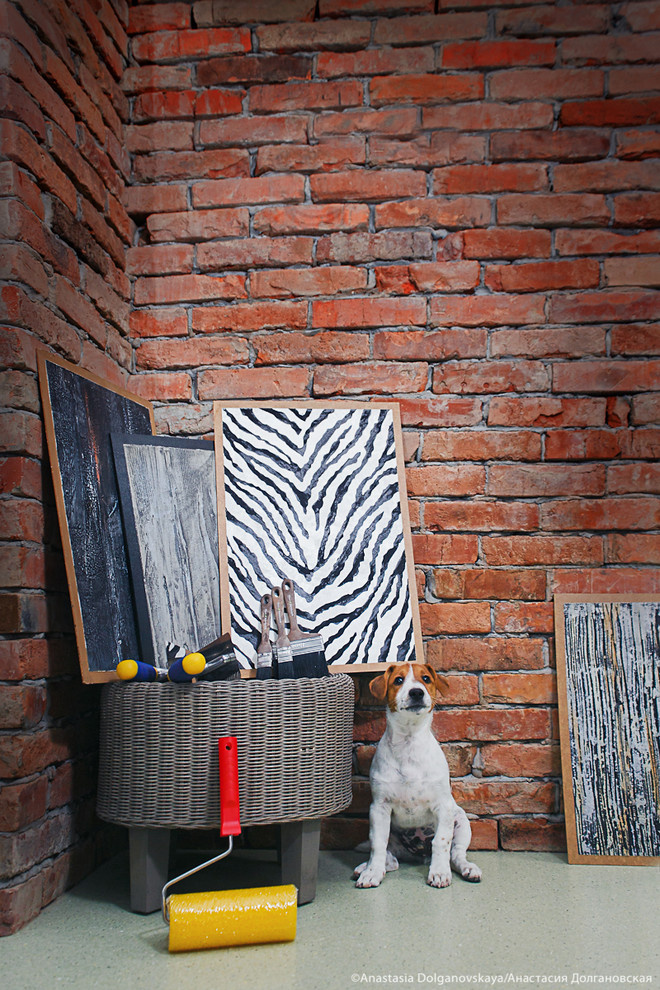 Животные и пространство