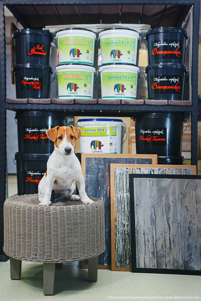 Животные и пространство