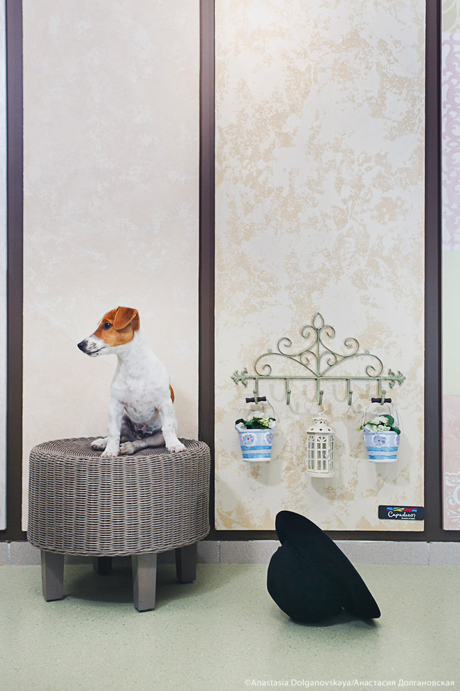 Животные и пространство