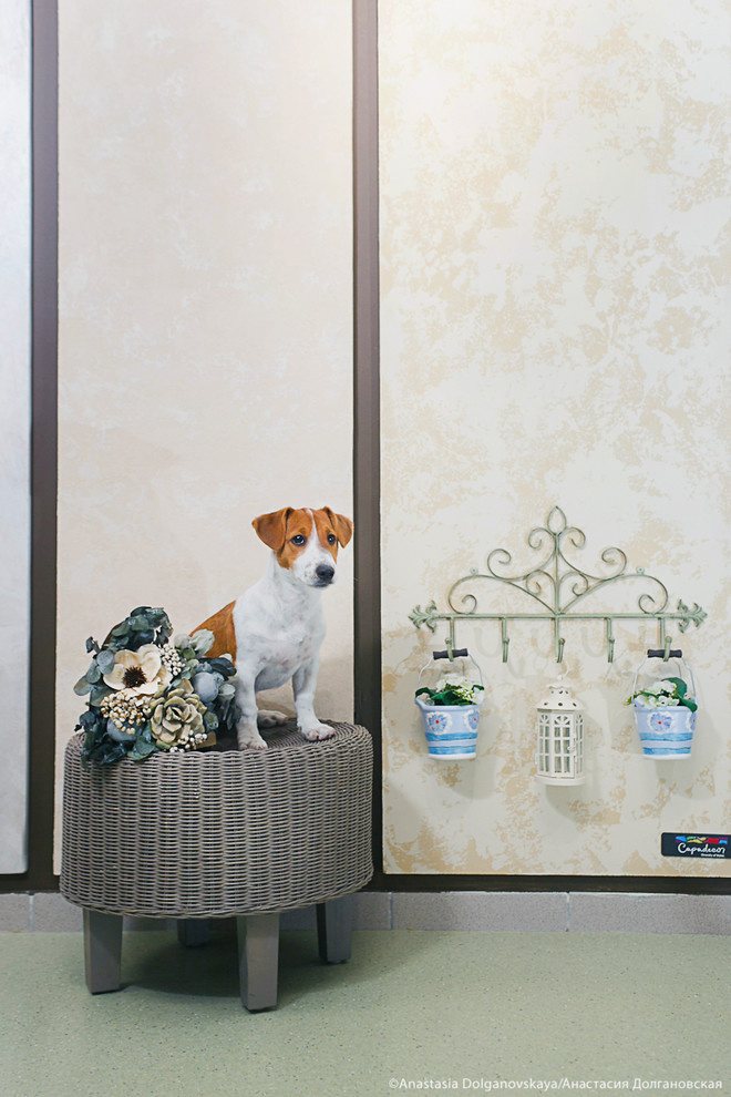 Обложка проекта: Животные и пространство