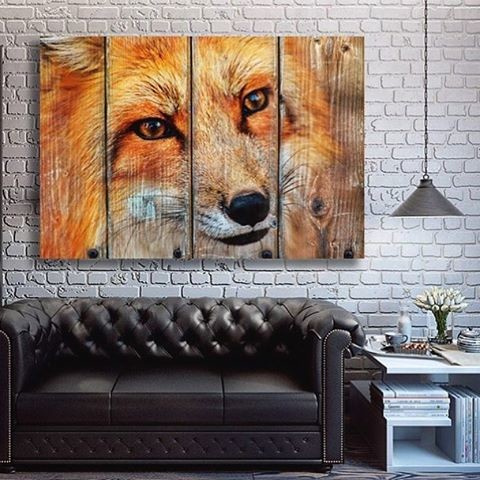 ANIMALS