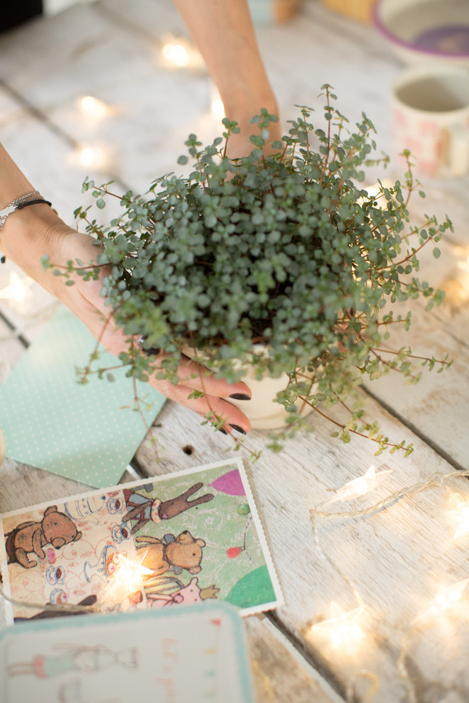 Съемка детских интерьеров для скандинавского бренда "Bunnyhill"