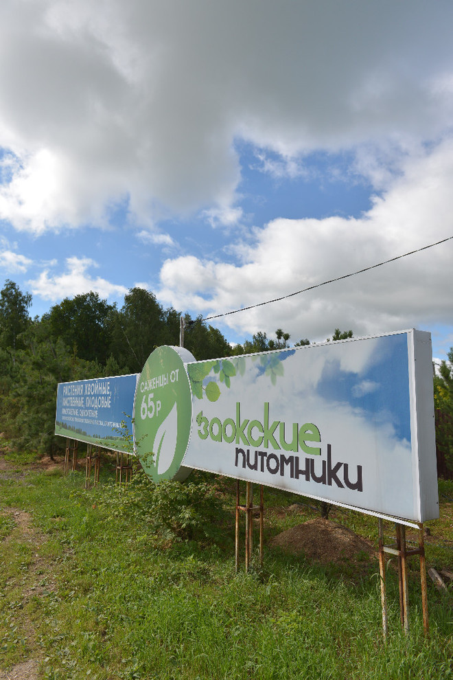 Наш питомник