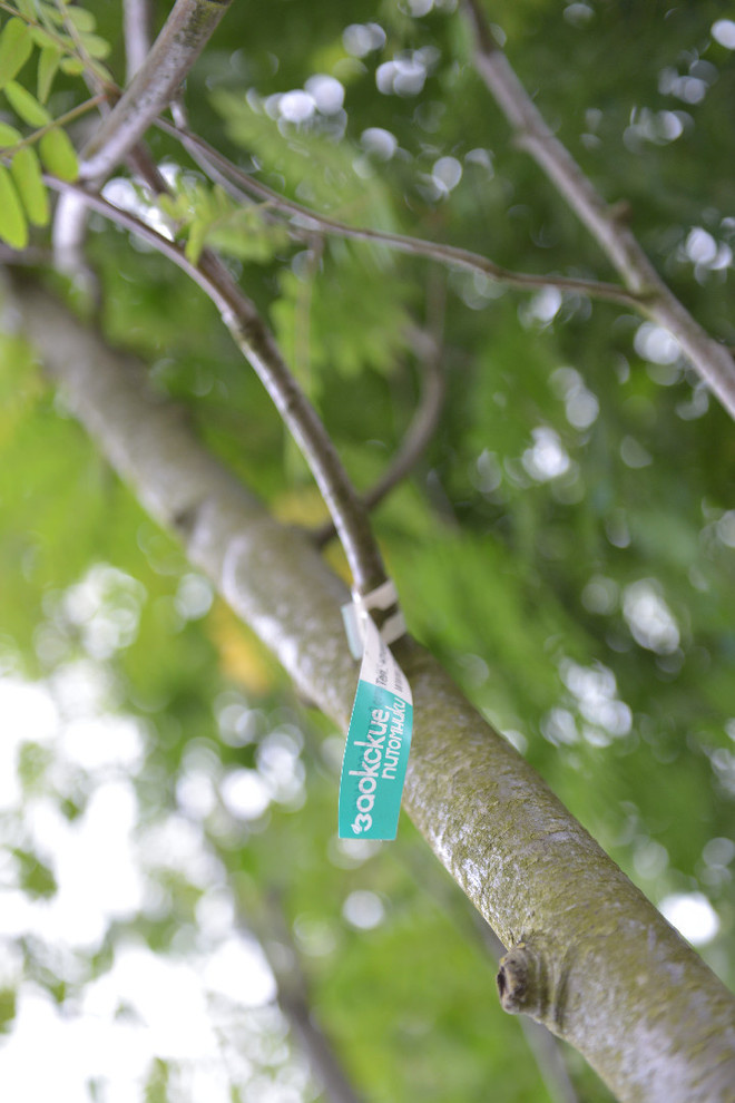 Наш питомник