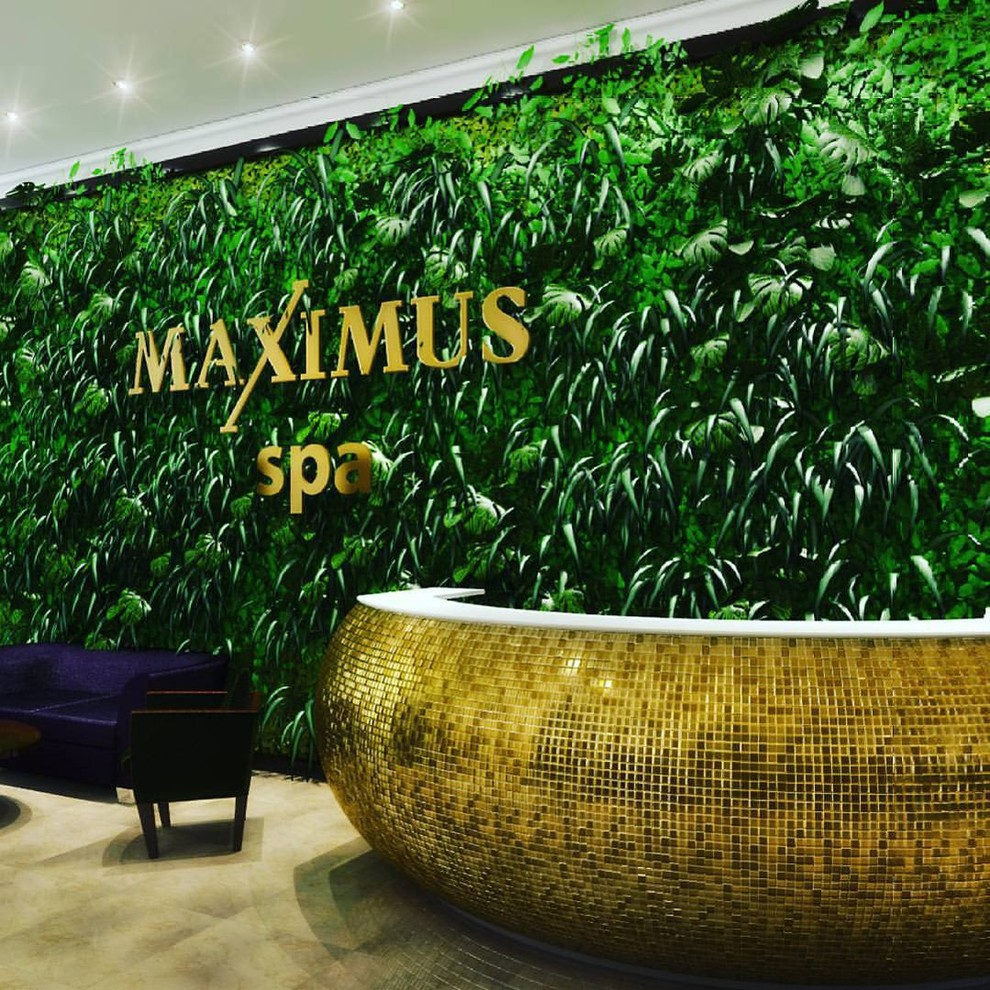 Озеленение Maximusa