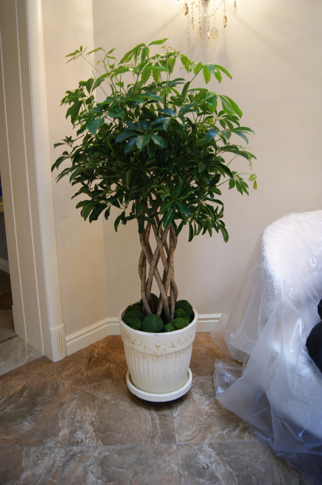 Зимний сад "Атриум"