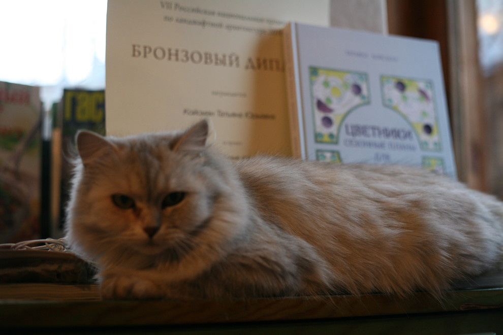 Книга "Цветники.Сезонные планы для творчества."