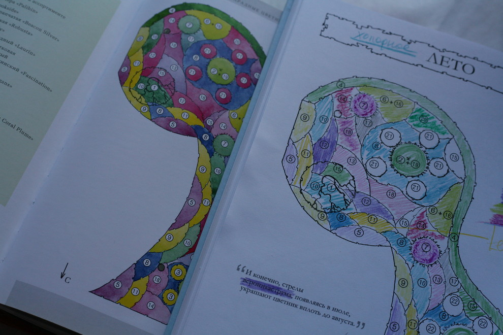 Книга "Цветники.Сезонные планы для творчества."