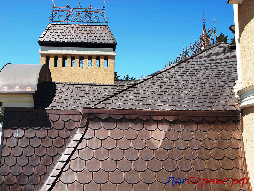 Обложка проекта: Кровельная чешуя