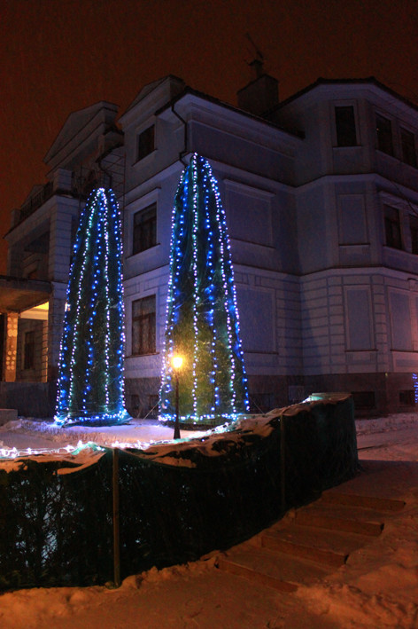 Новый год с Артзоной