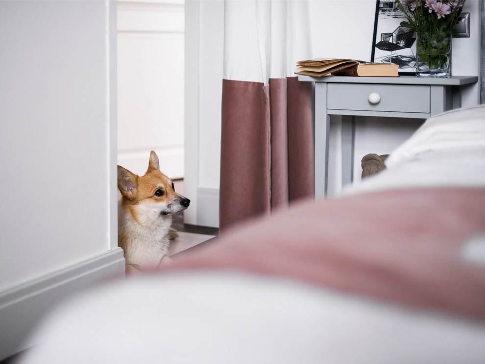 В гостях у декоратора Оксаны Пантелеевой