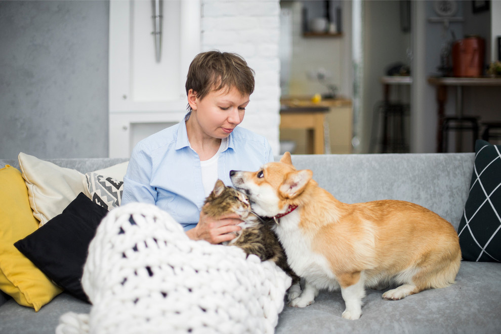В гостях у декоратора Оксаны Пантелеевой