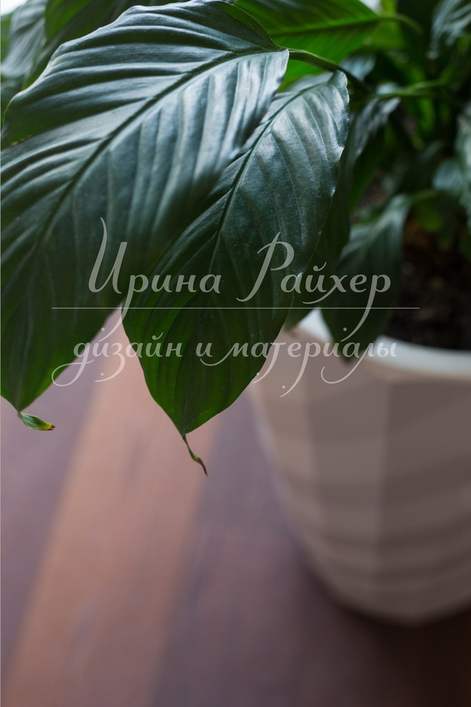 1-я Красноармейская