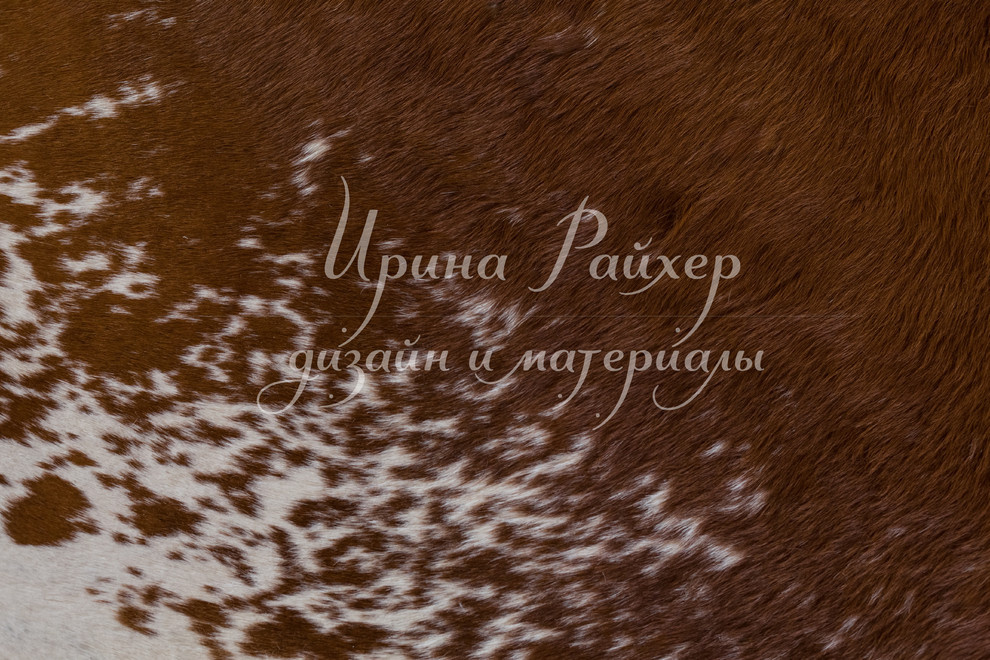 1-я Красноармейская