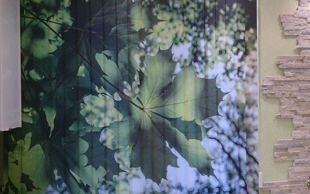 Жалюзи с фотопечатью