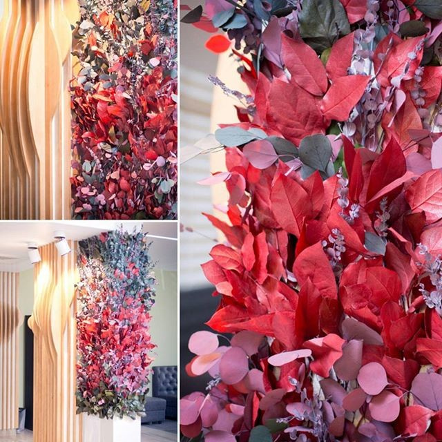 Фитодизайн ресторана