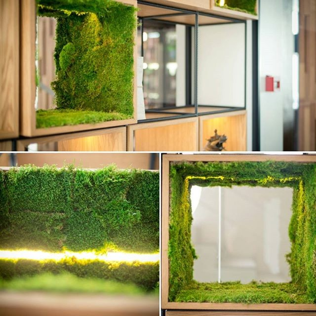 Фитодизайн ресторана