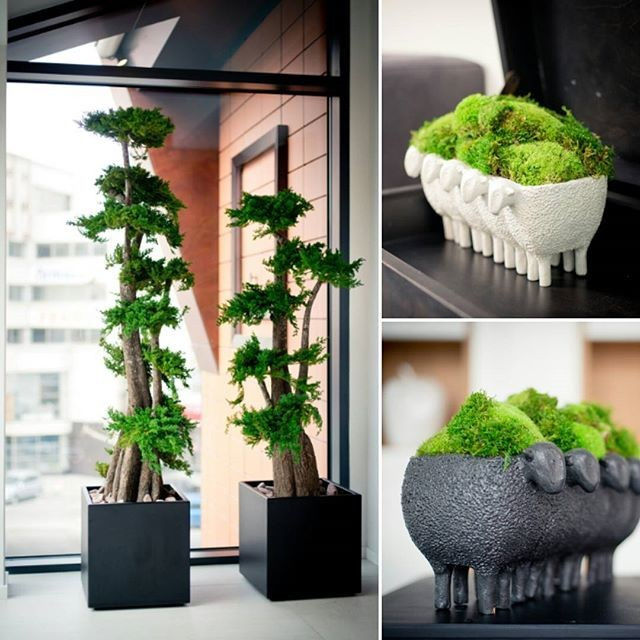 Обложка проекта: Фитодизайн ресторана