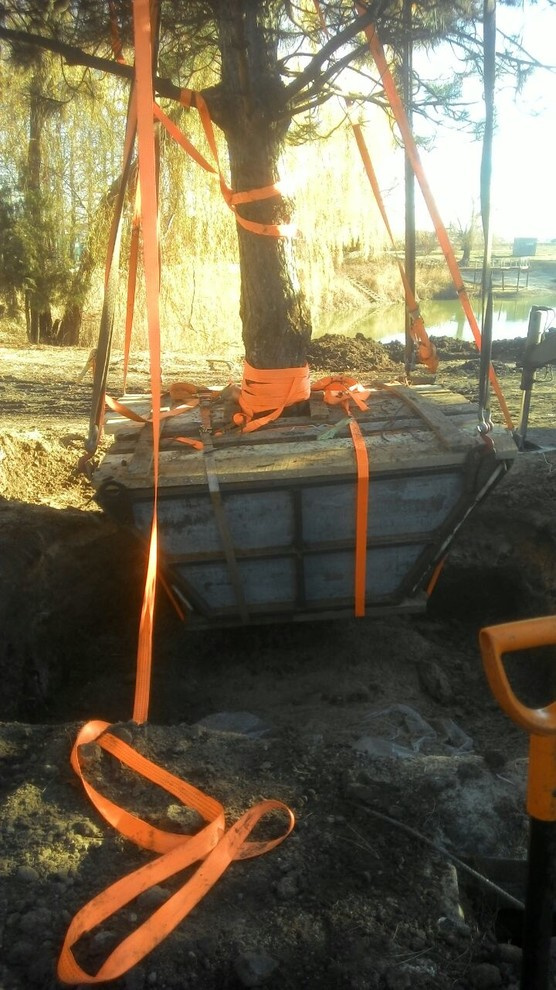 Посадка крупномеров.